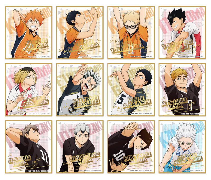 Haikyuu orders Shikishi art blind box