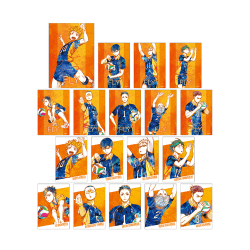 Haikyu!! Trading Ani-Art Vol. 2 Bromide [BLIND BOX]