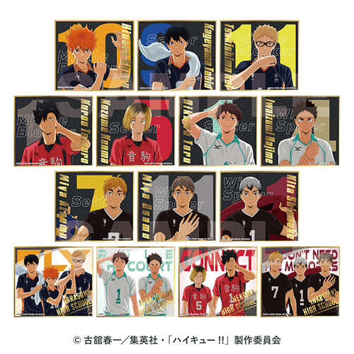 -PRE ORDER- Haikyu!! Visual Shikishi Collection 8  [BLIND BOX]