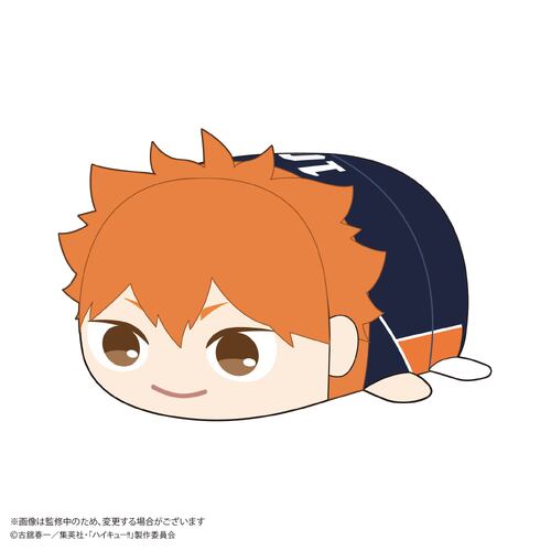 -PRE ORDER- HQ-74 Haikyu!! Potekoro Mascot (M Size) A Hinata Shoyo