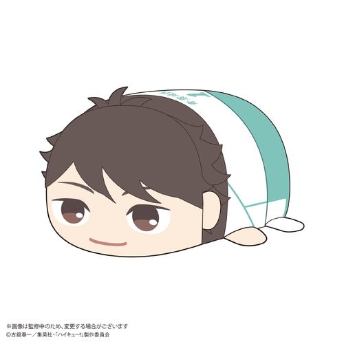 -PRE ORDER- HQ-74 Haikyu!! Potekoro Mascot (M Size) D Oikawa Toru