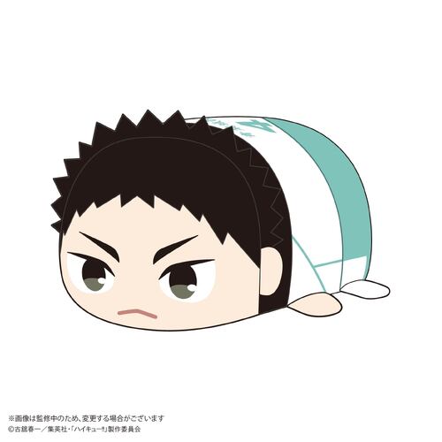 -PRE ORDER- HQ-74 Haikyu!! Potekoro Mascot (M Size) E Iwaizumi Hajime