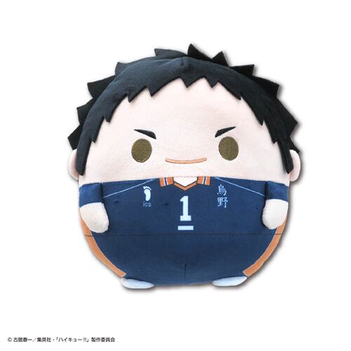 -PRE ORDER- HQ-84 Haikyu!! Fuwakororin (M Size) 3 A Sawamura Daichi