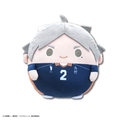 -PRE ORDER- HQ-84 Haikyu!! Fuwakororin (M Size) 3 B Sugawara Koshi