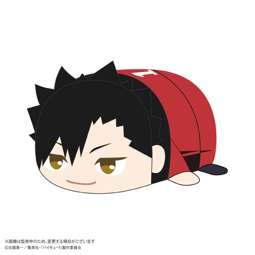 -PRE ORDER- HQ-81 Haikyu!! Potekoro Mascot (M Size) 2 A Kuroo Tetsuro