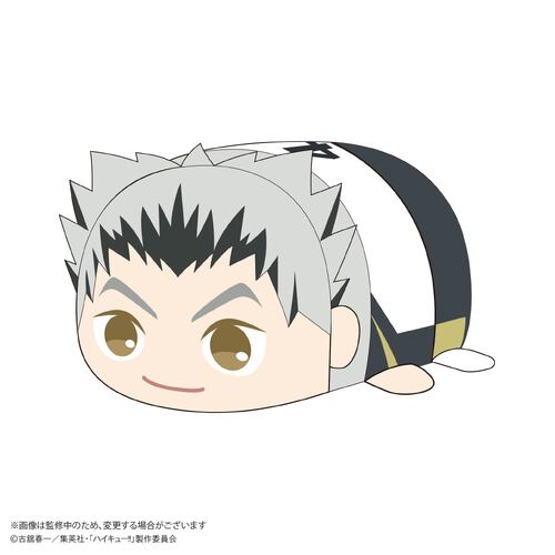 -PRE ORDER- HQ-81 Haikyu!! Potekoro Mascot (M Size) 2 E Bokuto Kotaro