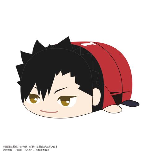 -PRE ORDER- HQ-82 Haikyu!! Potekoro Mascot Big 2 A Kuroo Tetsuro