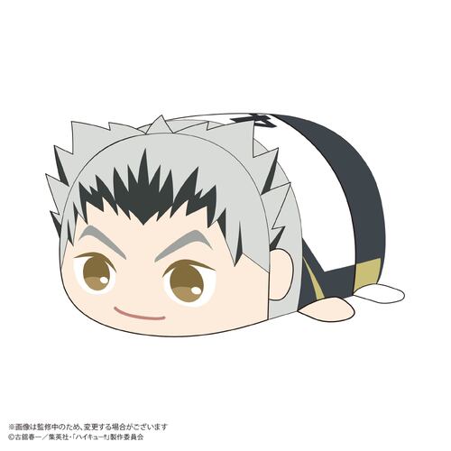 -PRE ORDER- HQ-82 Haikyu!! Potekoro Mascot Big 2 E Bokuto Kotaro