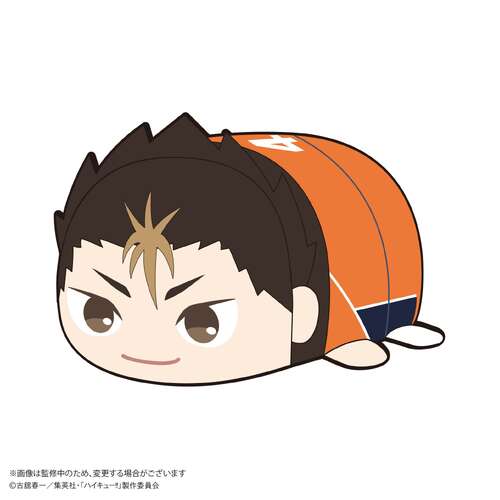 -PRE ORDER- HQ-87 Haikyu!! Potekoro Mascot (M Size) 3 A Nishinoya Yu