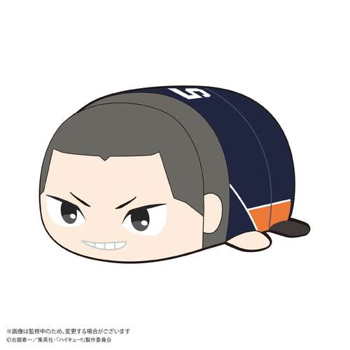 -PRE ORDER- HQ-87 Haikyu!! Potekoro Mascot (M Size) 3 B Tanaka Ryunosuke